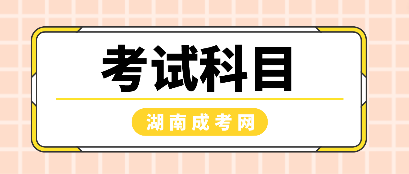 2023年湖南省益阳成人高考考试科目