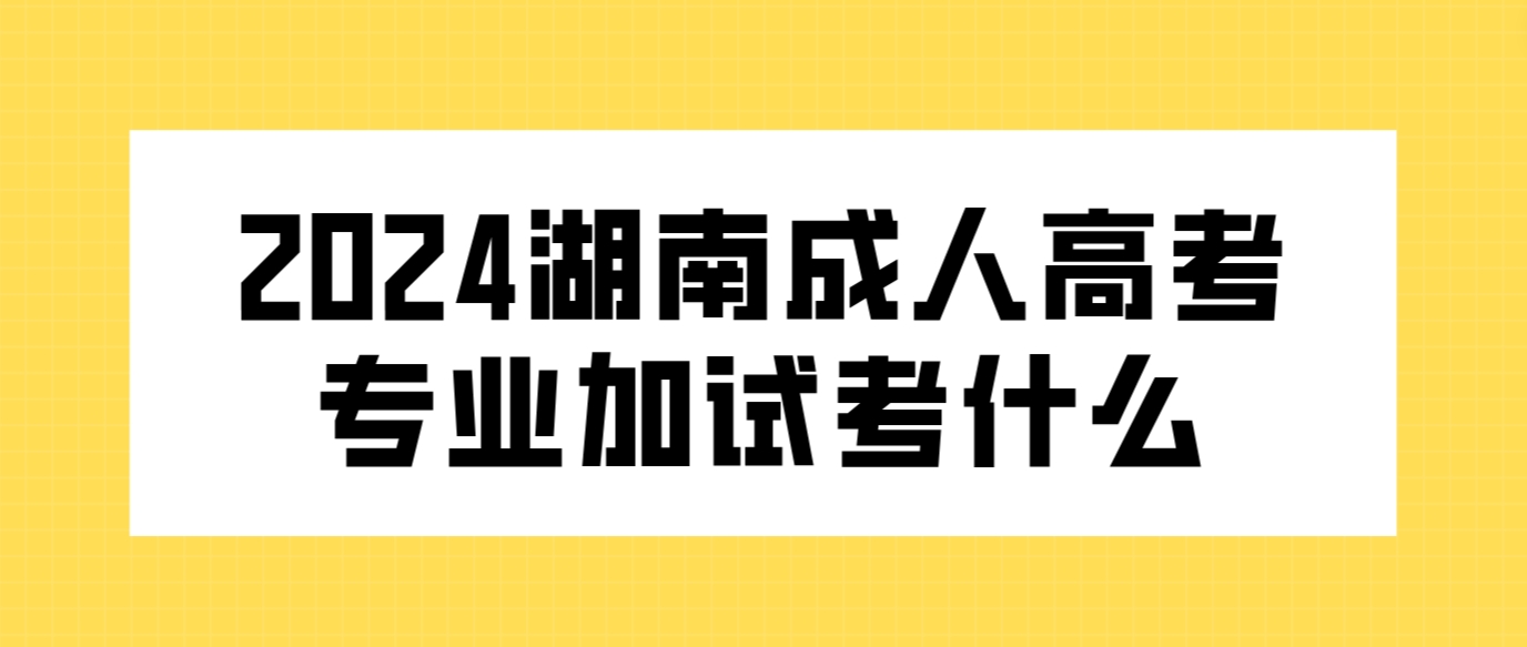 2024年湖南成人高考专业加试考什么？